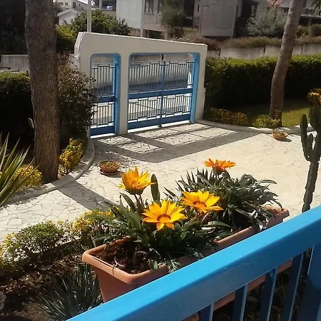 Nido Colorato