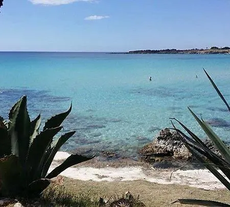 Nido Colorato Fontane Bianche