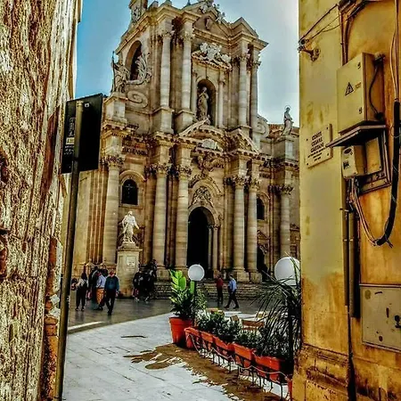 Nido Colorato 2*