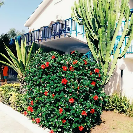 Bed & Breakfast Nido Colorato
